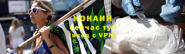 прущие грибы Медвежьегорск