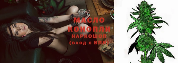 прущие грибы Медвежьегорск