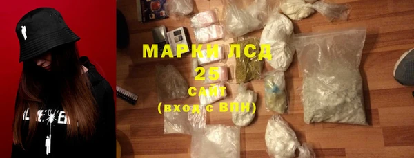 прущие грибы Медвежьегорск
