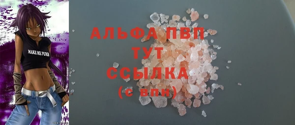 стаф Магадан
