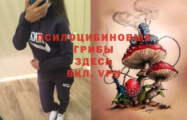 трава Михайловск