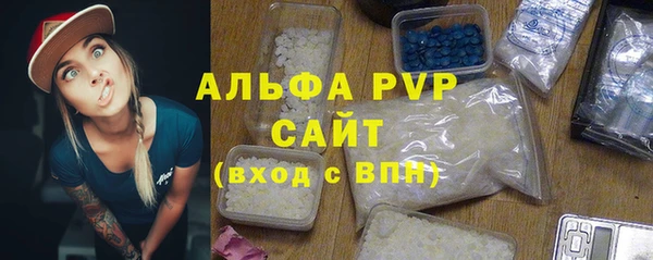 прущие грибы Медвежьегорск