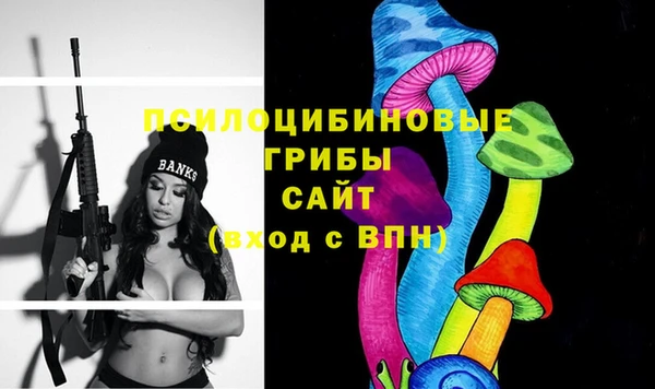 прущие грибы Мегион