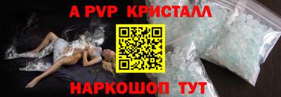 прущие грибы Кингисепп