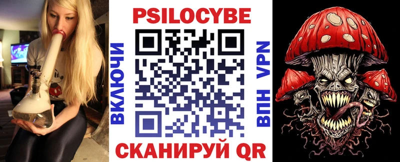 купить цена Люберцы Псилоцибиновые грибы Psilocybe